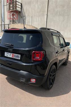 جيب رينيجيد